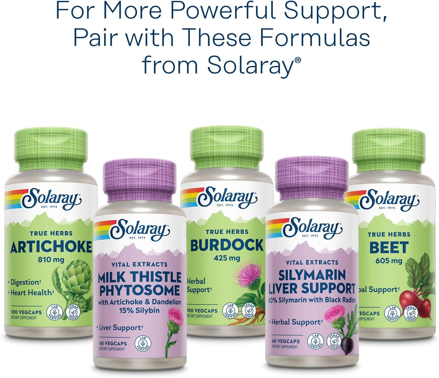 SOLARAY Milk Thistle Seed Extract One Daily 60 count
