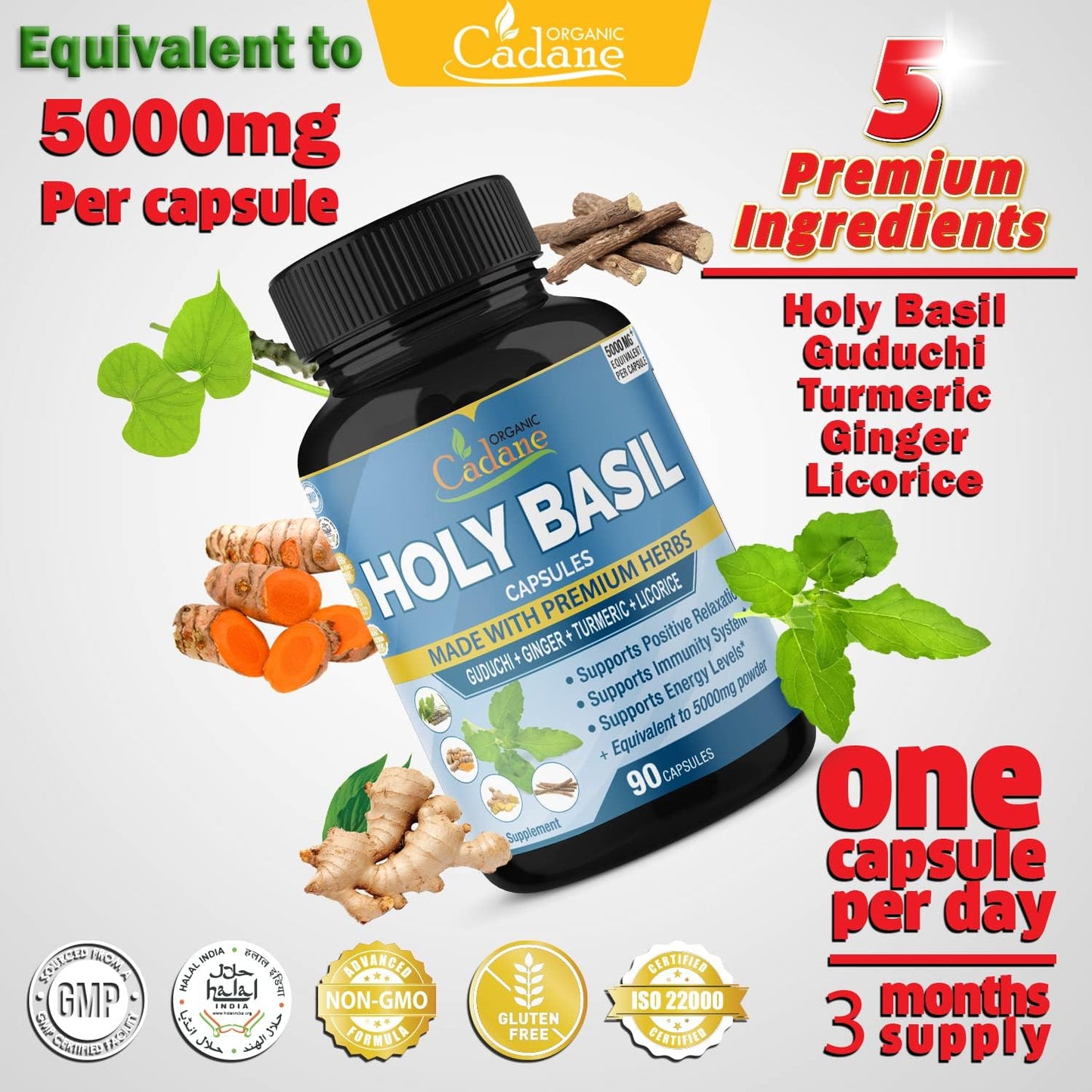 Holy Basil Supplements 90 Capsules