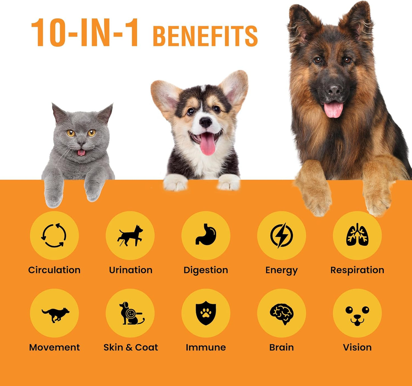 10-in-1 Liquid Multivitamin for Dogs and Cats -2 oz