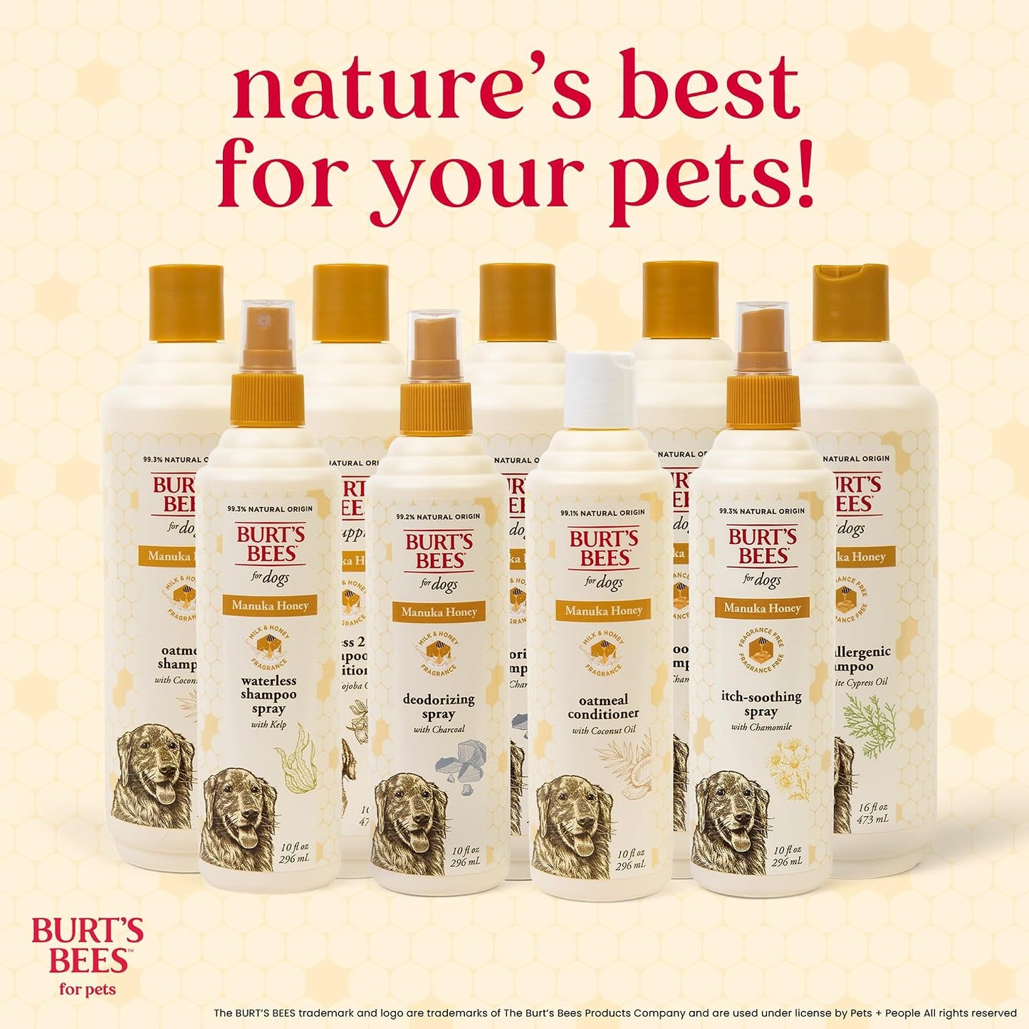 Burt's Bees for Pets Manuka Honey Oatmeal Shampoo for Dogs - 16 Fl Oz