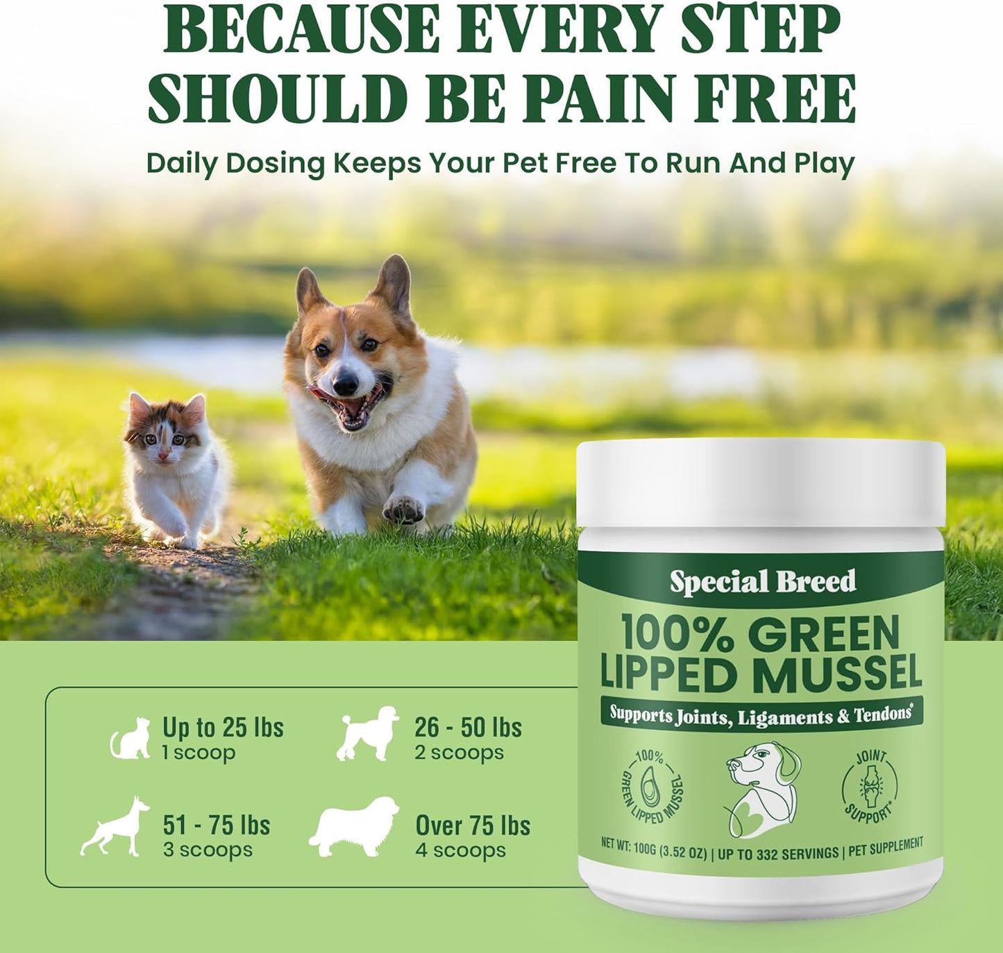 Special Breed Green Lipped Mussel Powder for Dogs & Cats 3.52 oz