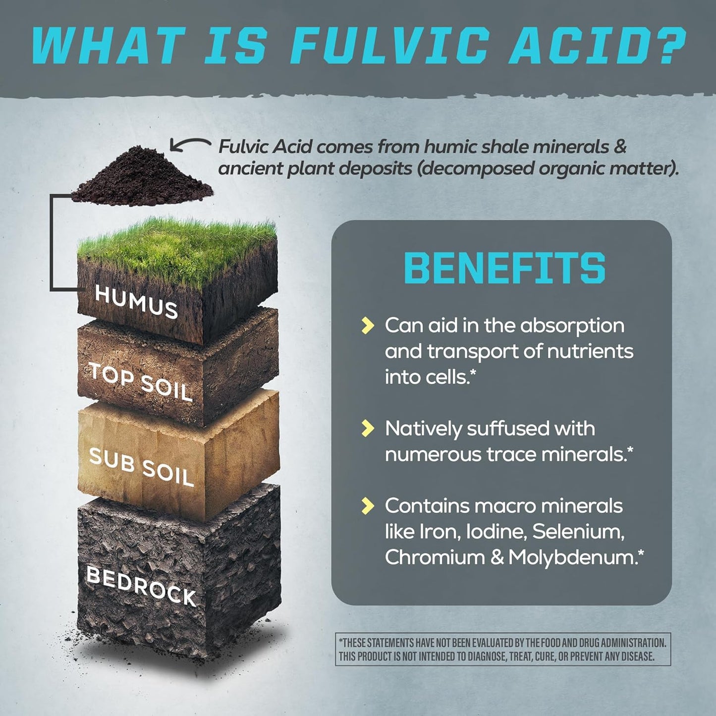 Sunwarrior Active liquid light Fulvic Acid Supplement - 32 Fl Oz