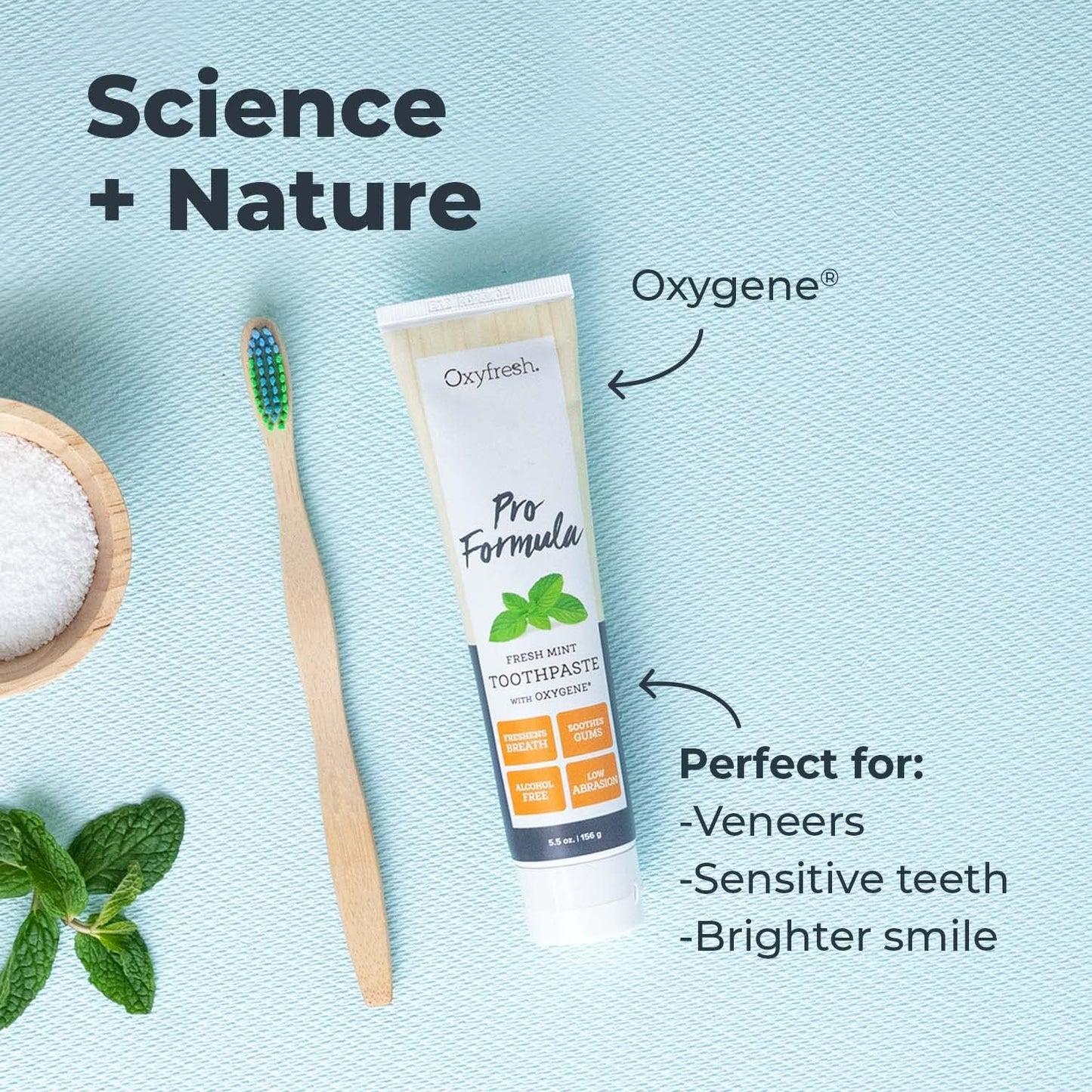 Oxyfresh Pro Formula Fresh Mint Toothpaste –5.5 oz.