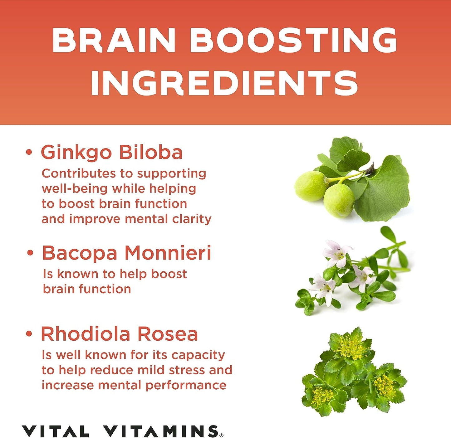 Vital Vitamins Brain Supplements for Memory & Focus 30 count