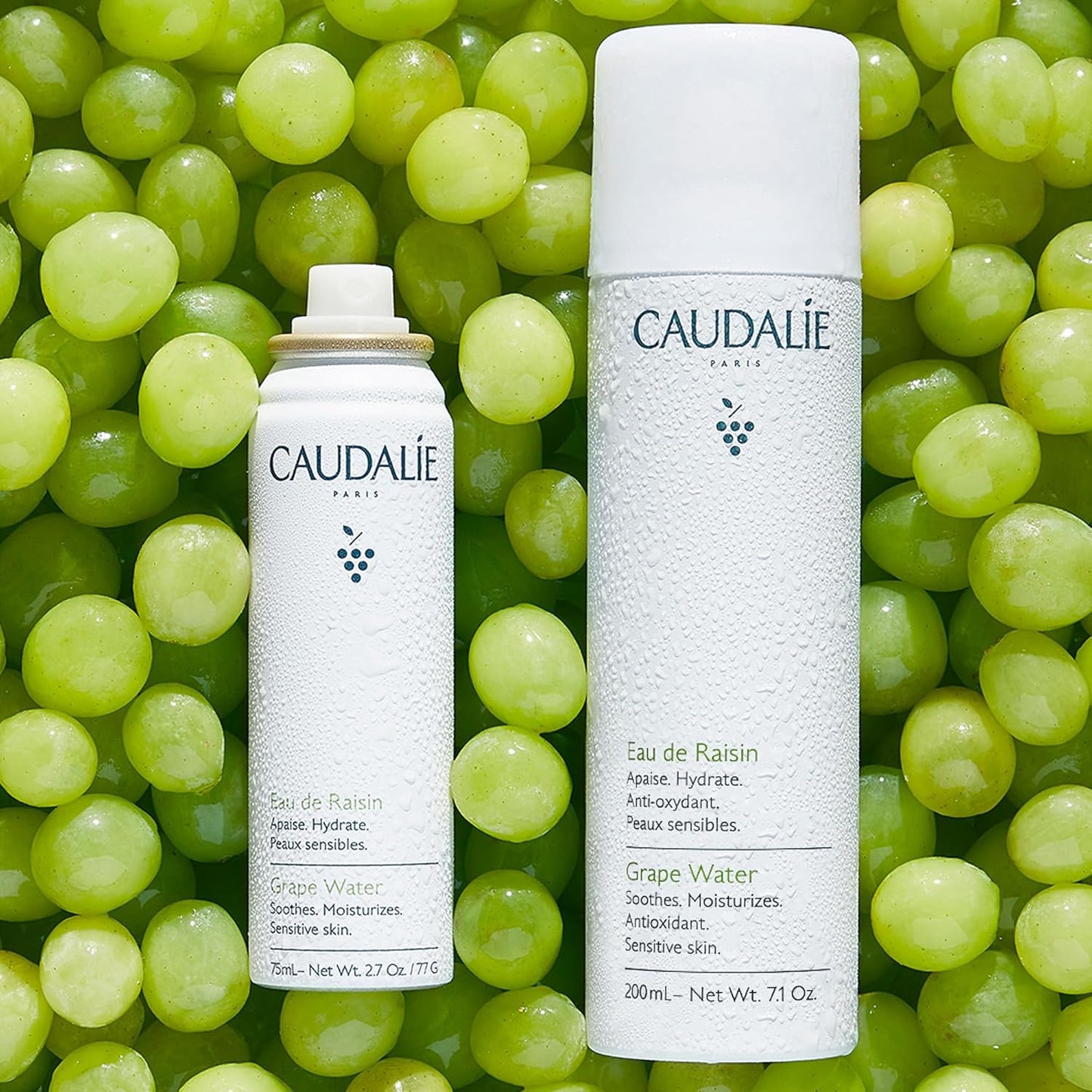 Caudalie Grape Water Moisturizing Face Mist Travel Size - 75 mL