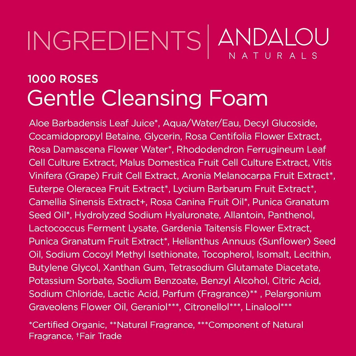 Andalou Naturals 1000 ROSES® Gentle Cleansing Foam