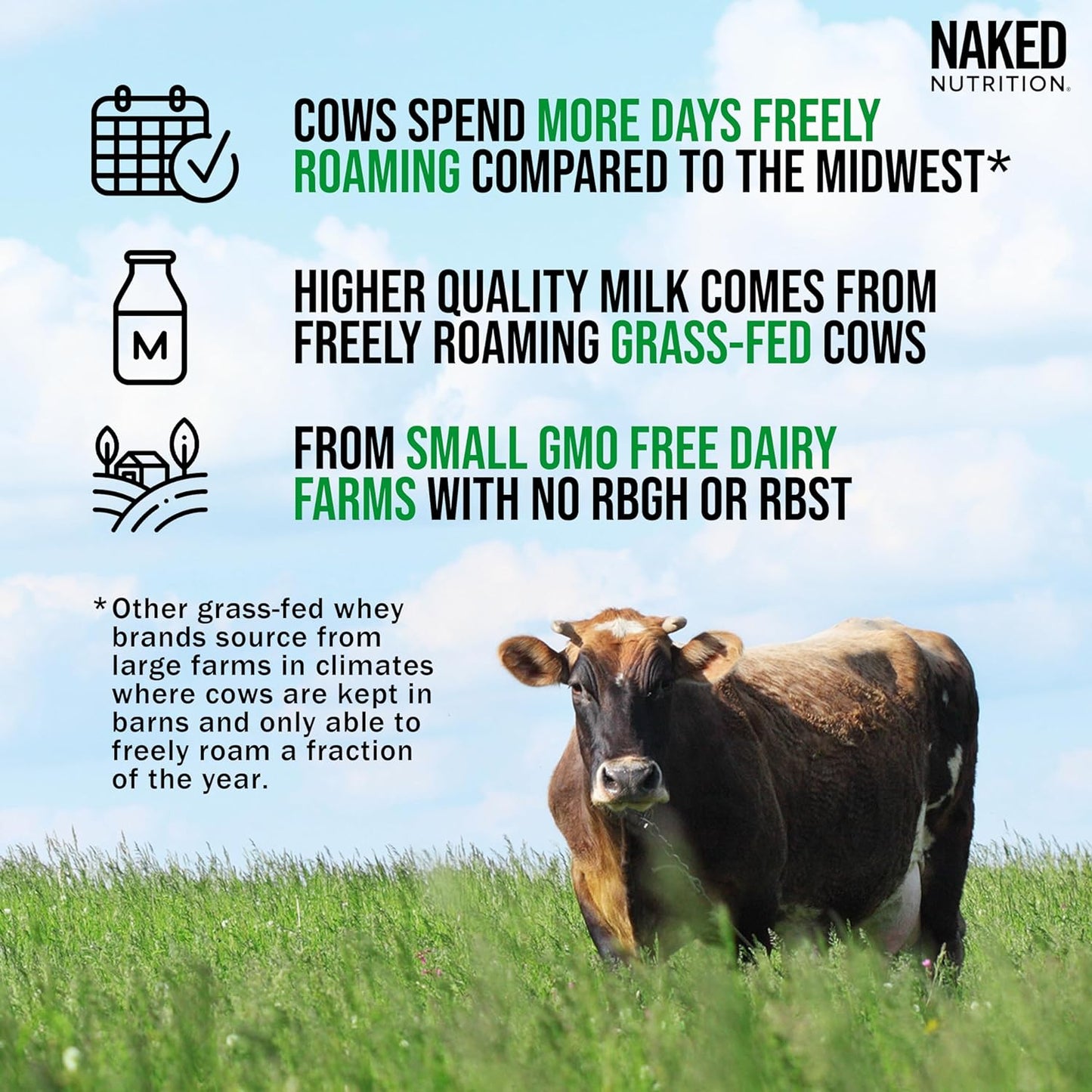 Naked Whey 1Lb - Only 1 Ingredient, Grass Fed Whey Protein Powder