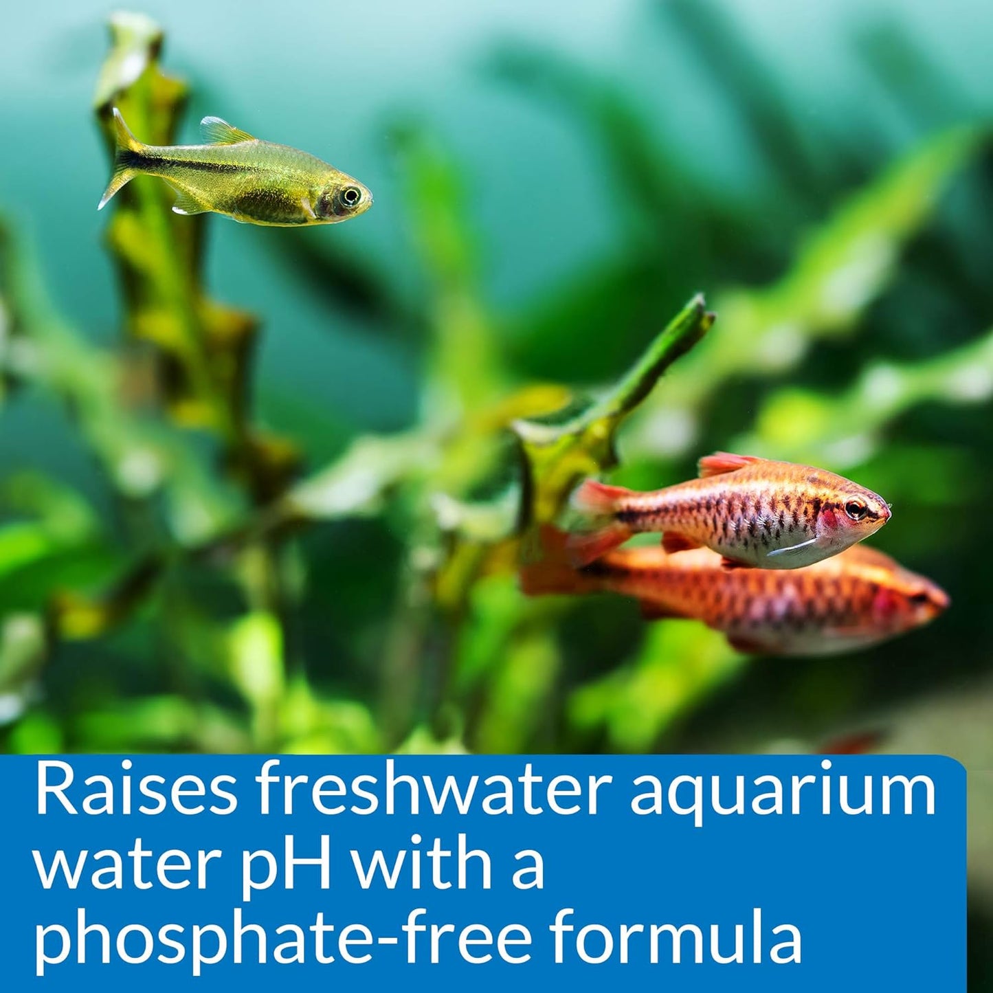API pH UP Freshwater Aquarium Water pH Raising Solution for fish,4-Ounce Bottle, Brown