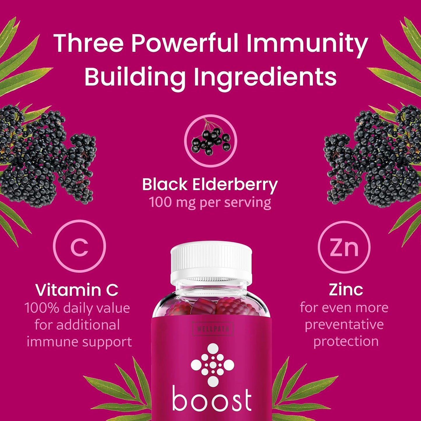 WellPath Boost Elderberry Gummies with Zinc & Vitamin C 60 Ct