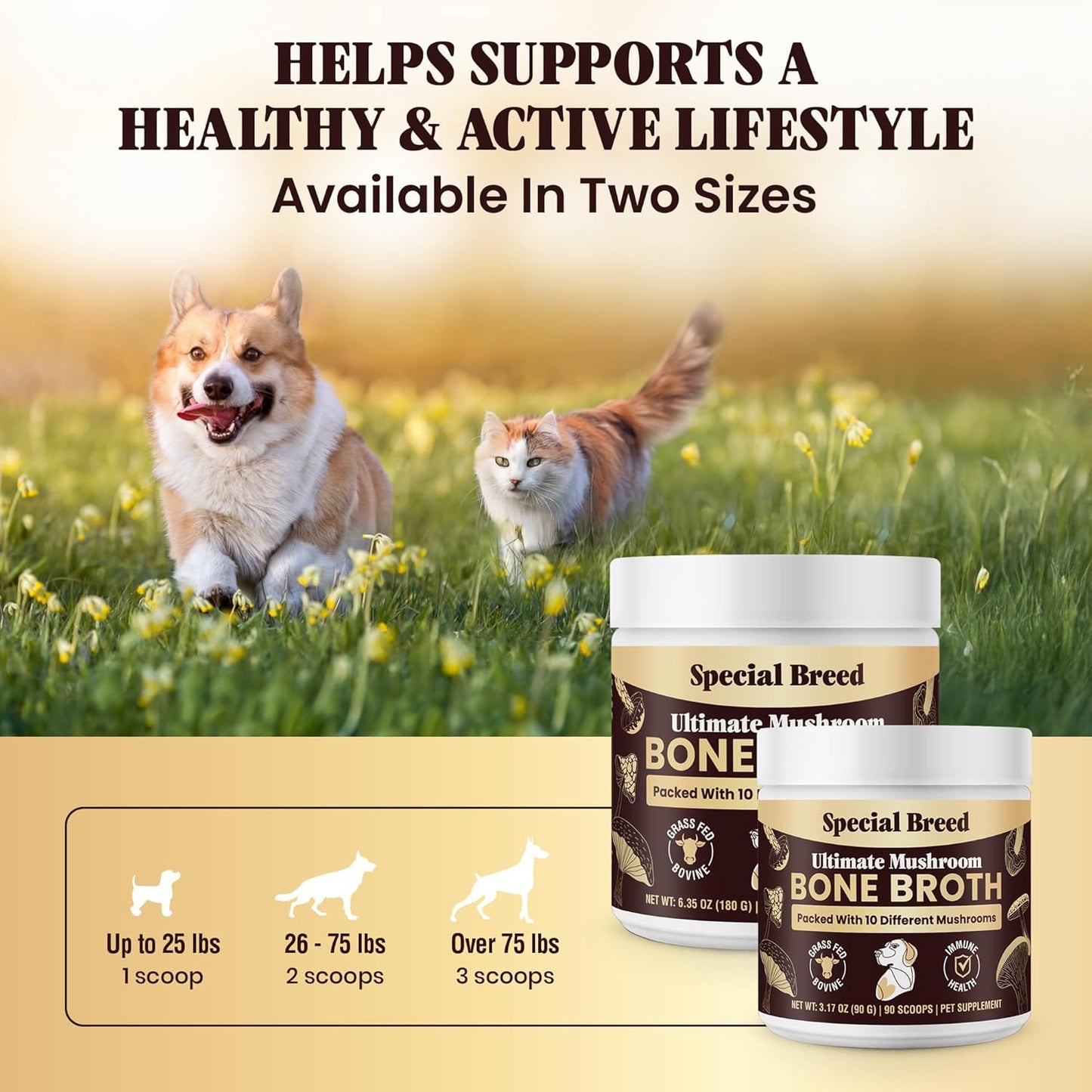 Beef Bone Broth for Dogs - Dog Bone Broth Powder - 90 Scoops