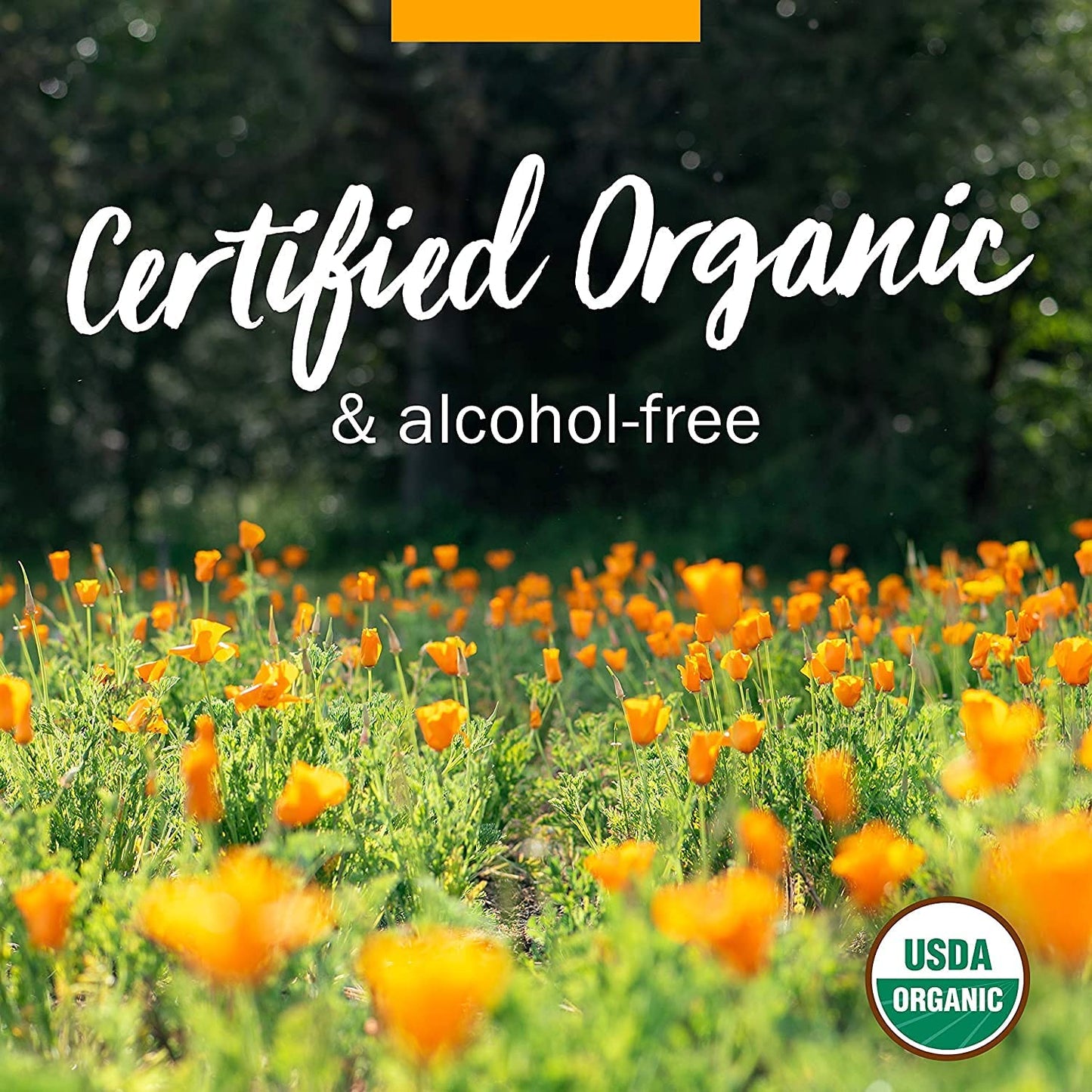 Herb Pharm Certified Organic Skullcap Liquid Extract for Nervous System Support, 1 Fl Oz