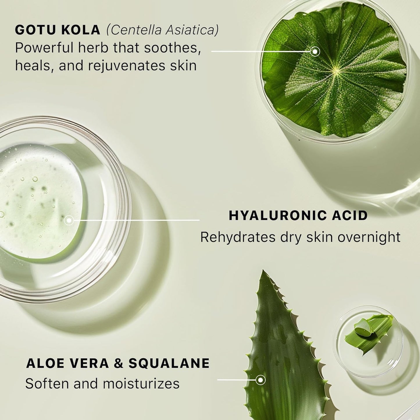 Beauty By Earth Hyaluronic Acid Moisturizer for Face -1.58 fl oz