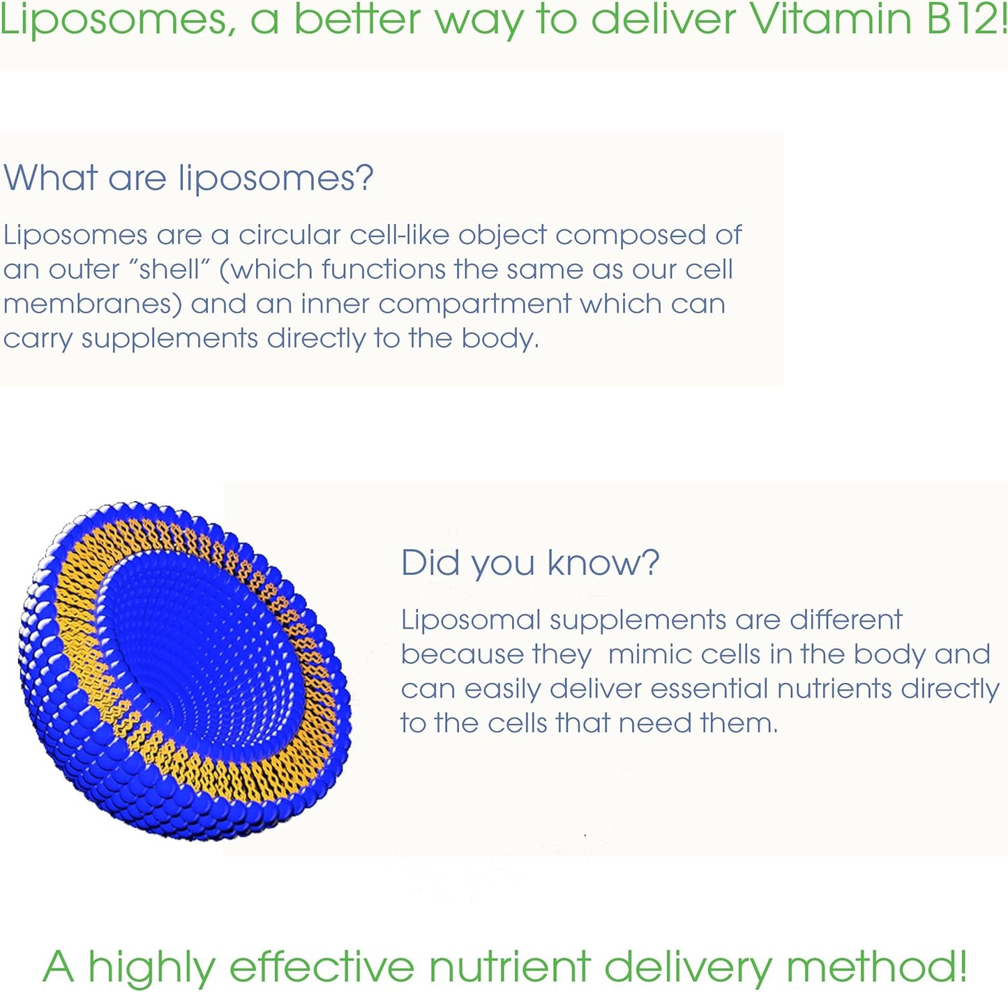 UltimateVitality Liposomal Curcumin Liquid, Liposomal Enhanced with Resveratrol 6 FL oz