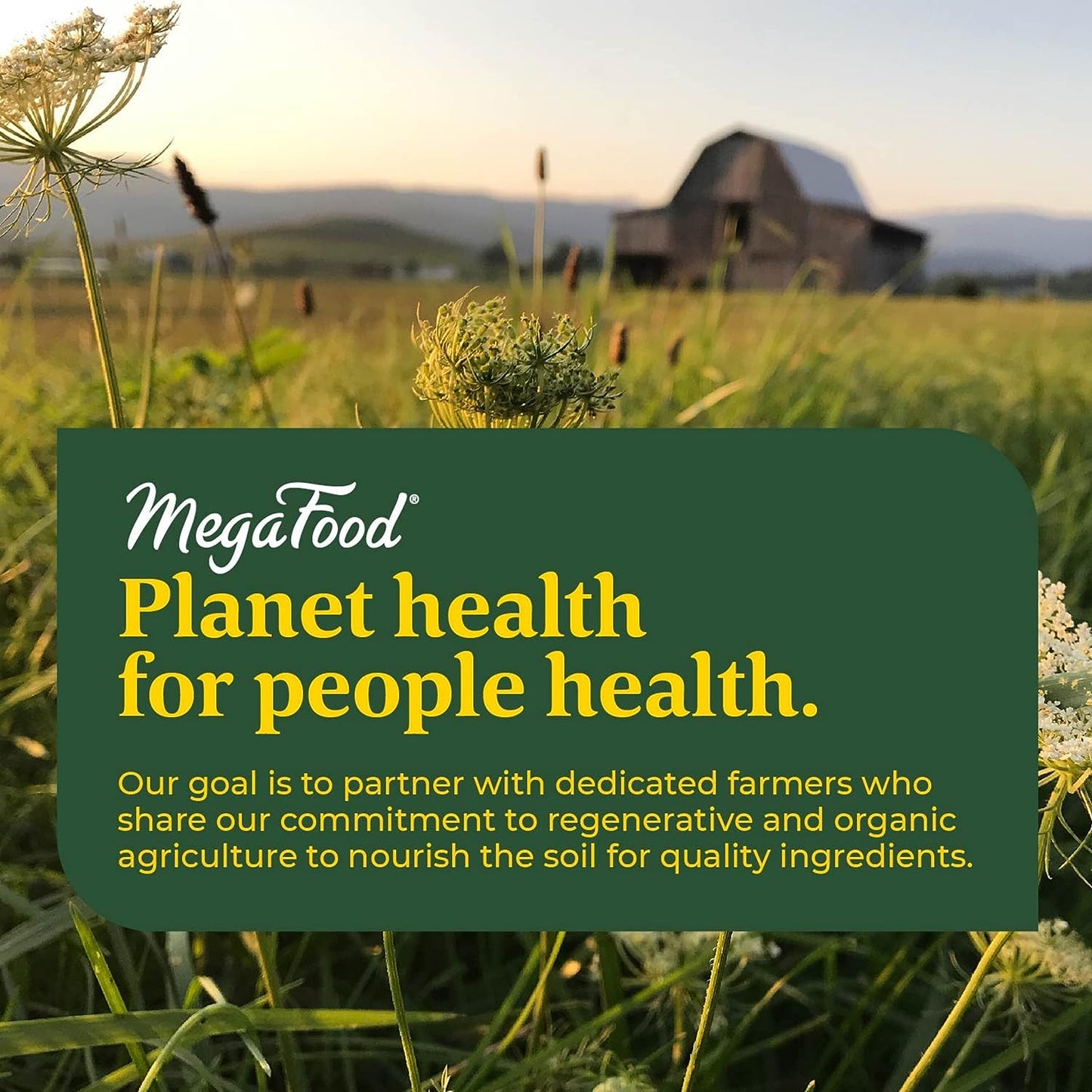 MegaFood Baby & Me 2 Prenatal Vitamin and Minerals 60 Tabs