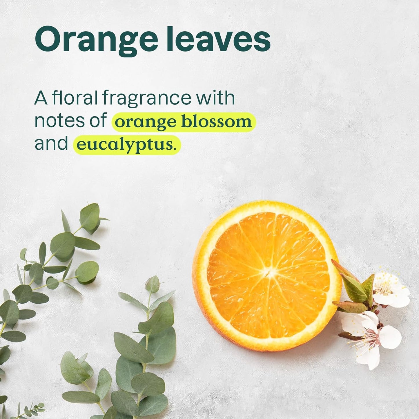 ATTITUDE Detangling Spray -Orange Leaves, 8 Fl Oz