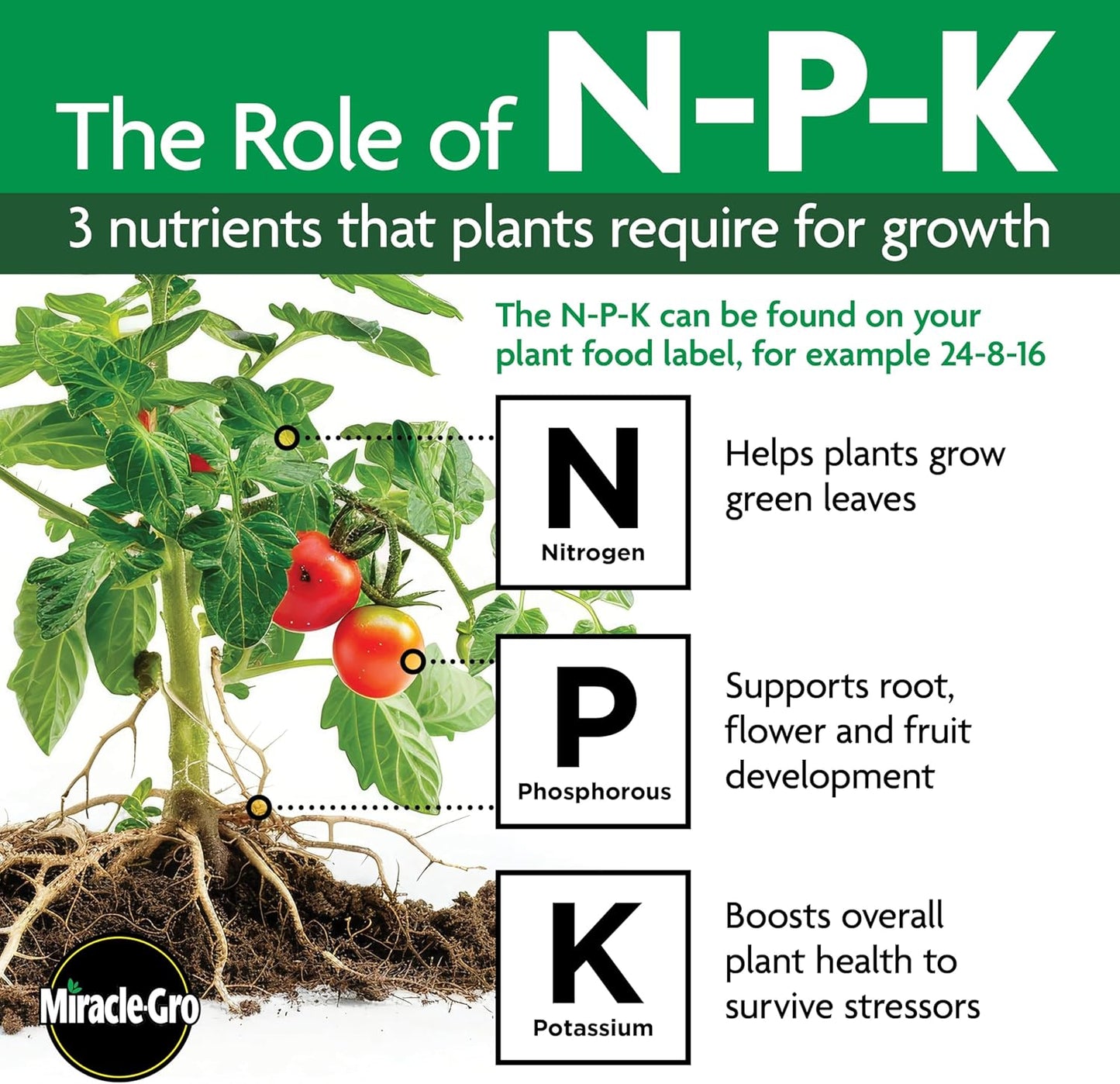 Miracle-Gro Water Soluble Tomato Plant Food 1.5 lb