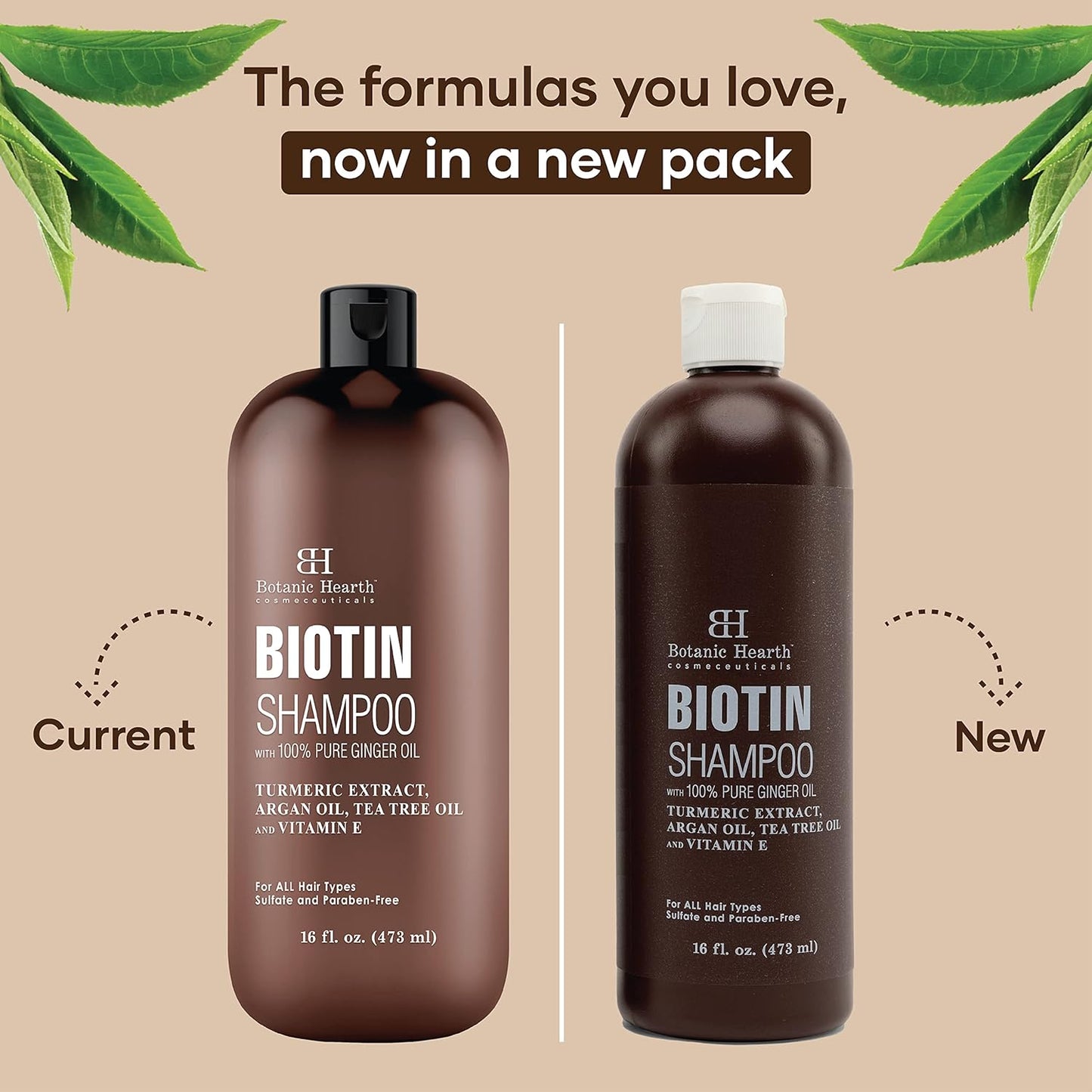 Botanic Hearth Biotin Shampoo with Ginger Oil & Keratin