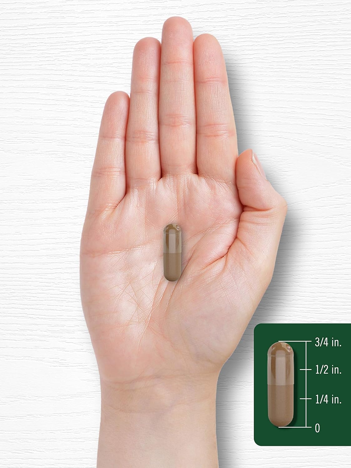 Carlyle Valerian Root Capsules 240 Count