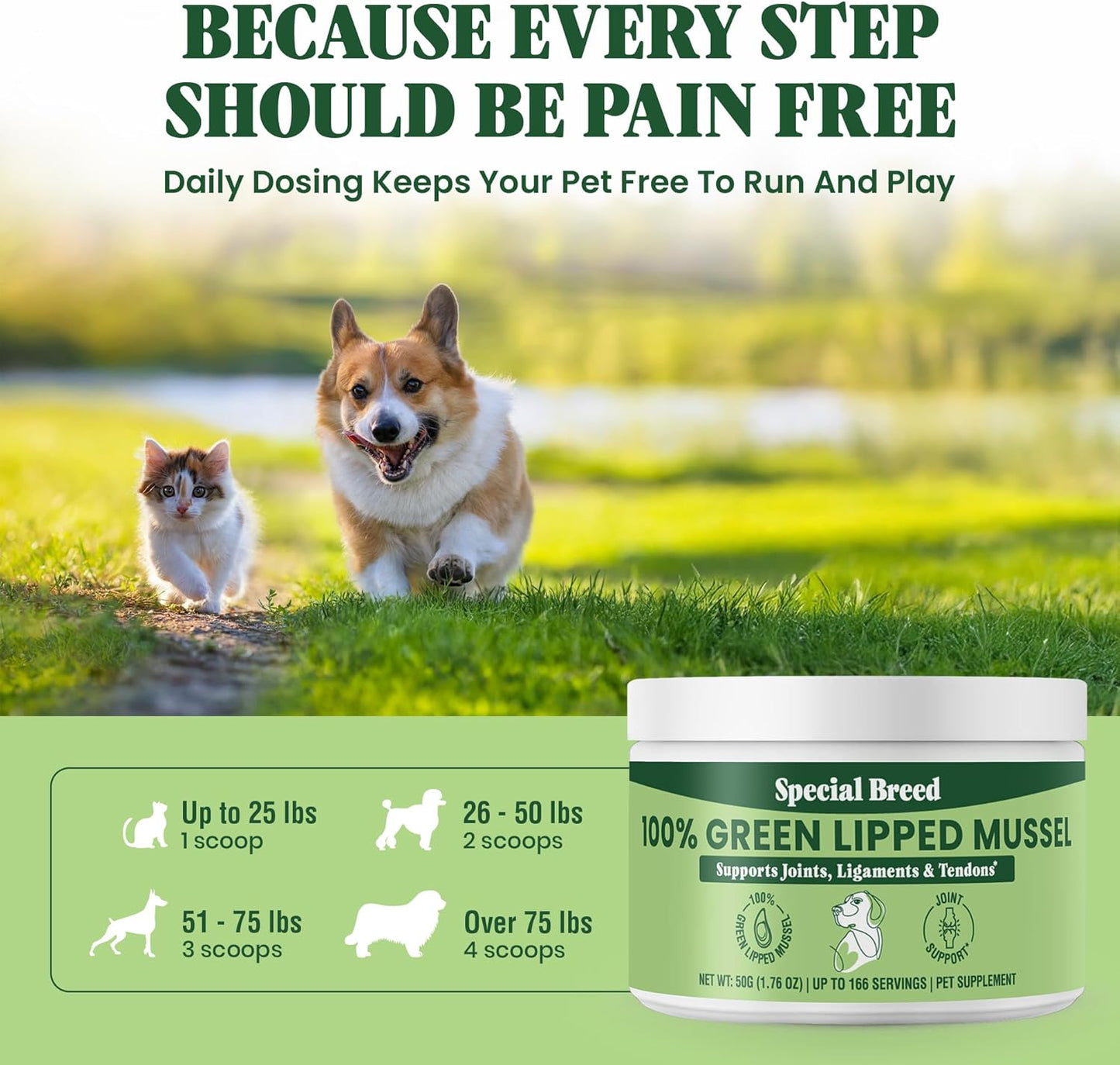 Green Lipped Mussel Powder for Dogs & Cats -1.76 oz