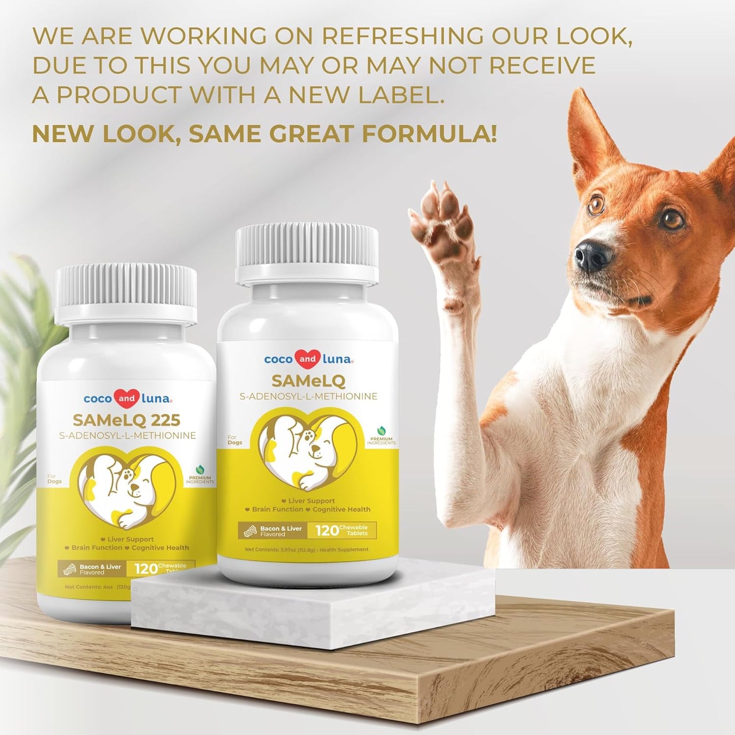 Coco and Luna Same for Dogs - S-Adenosyl-L-Methionine - 120 Chewable Tablets