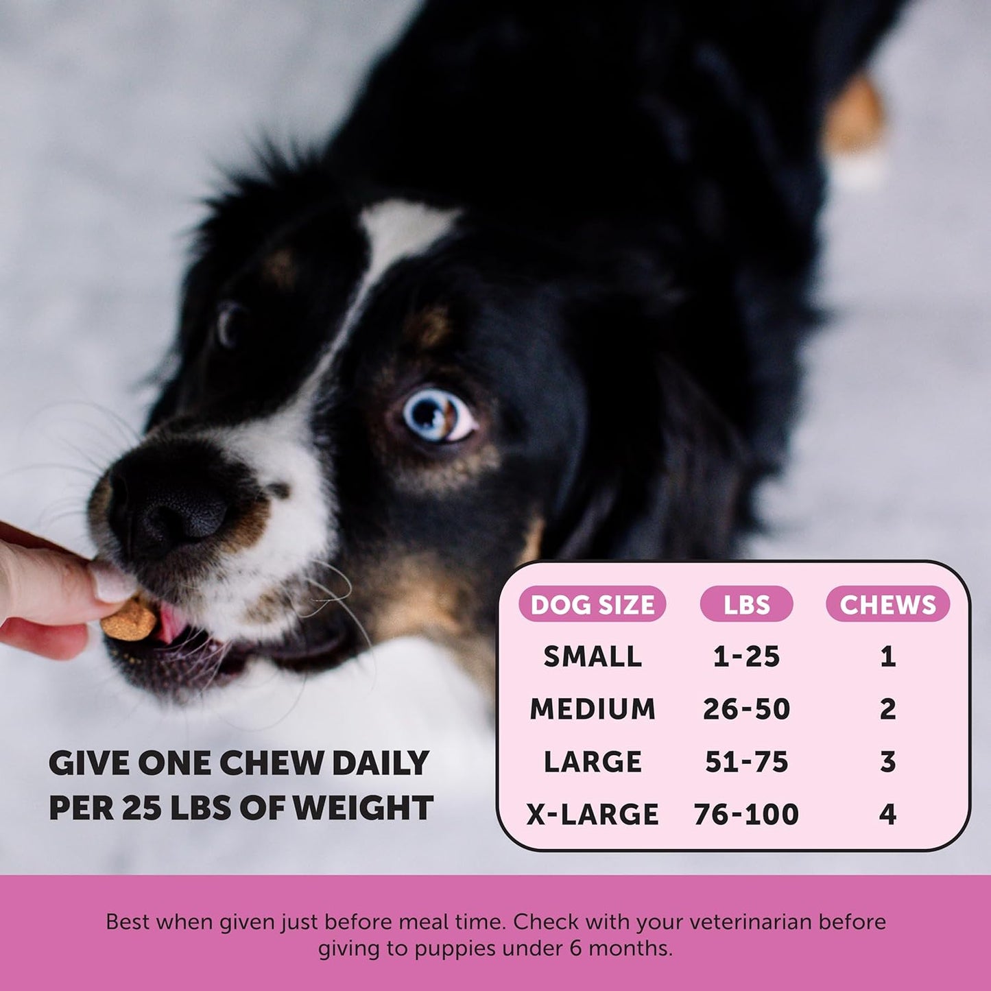 Pet Honesty Multivitamin Dog Supplement 90 count