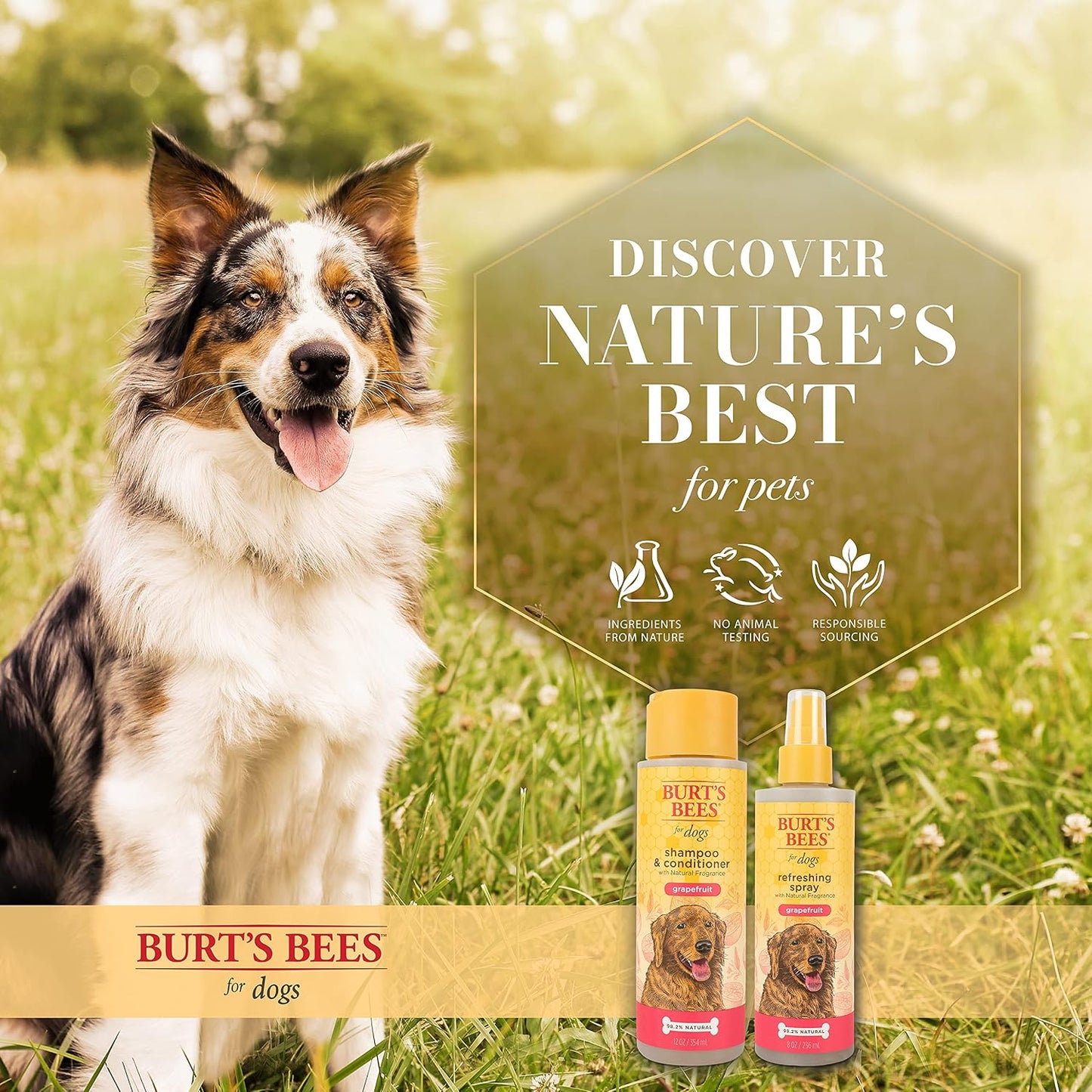 Burt's Bees for Pets Shampoo & Conditioner - 12 Oz