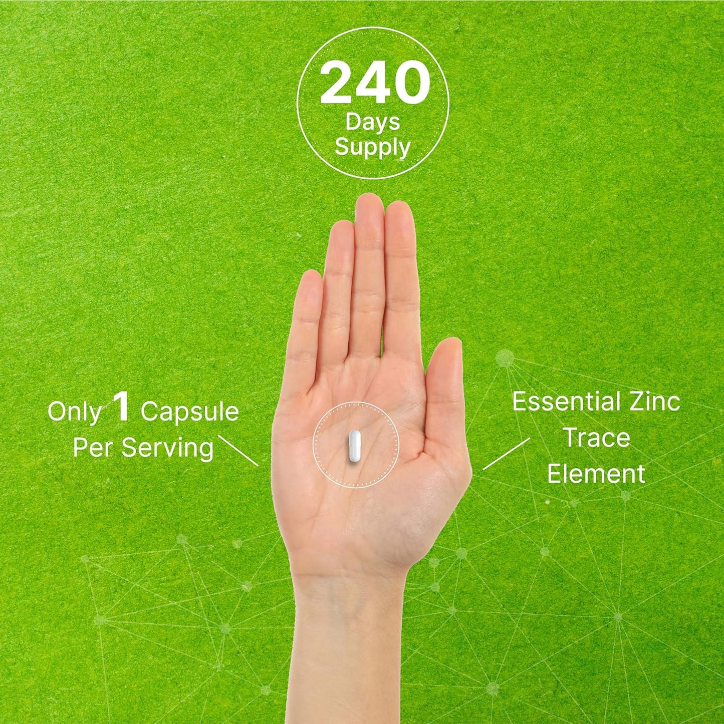 Zinc with Selenium with Copper, 240 Capsules