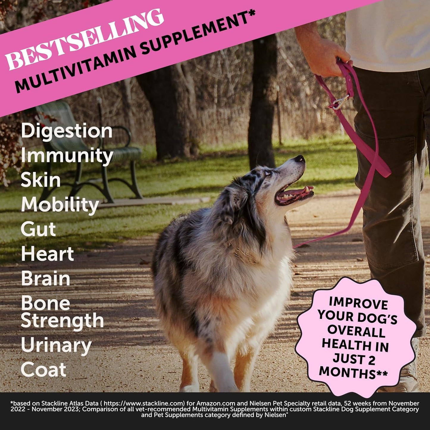 Pet Honesty Multivitamin Dog Supplement 90 count