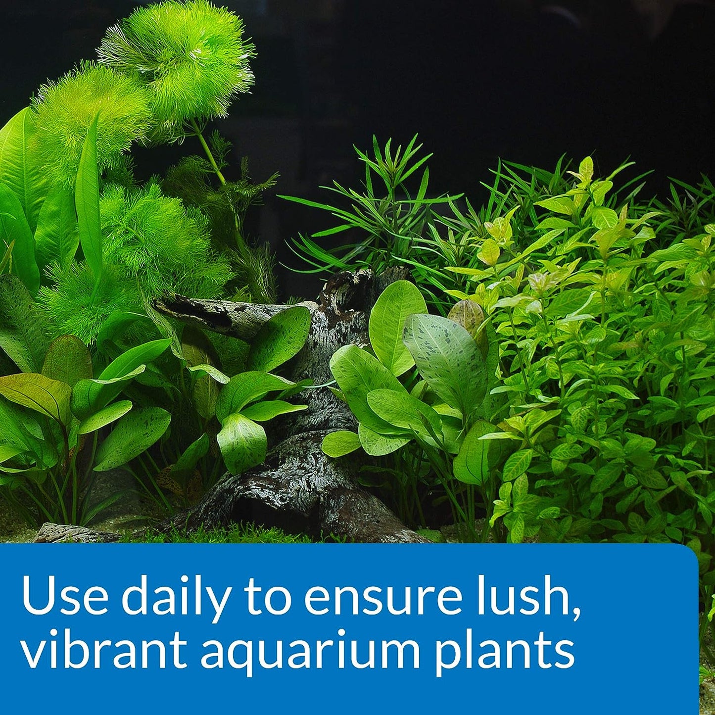 API Co2 Booster Freshwater Aquarium Plant Treatment 16 oz Bottle, Brown