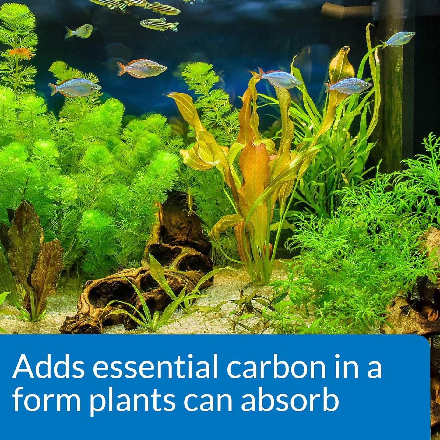 API Co2 Booster Freshwater Aquarium Plant Treatment 16 oz Bottle, Brown