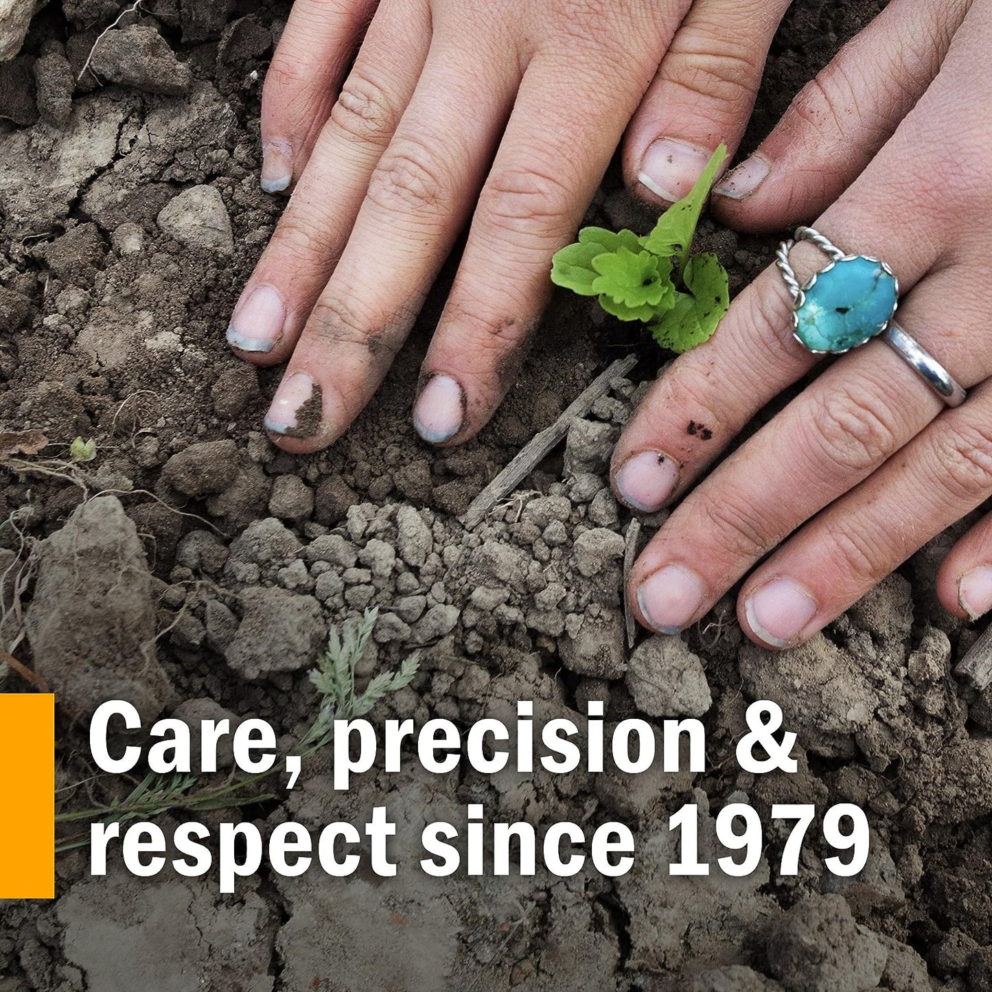 Herb Pharm Organic Cilantro Extract for Cleansing and Detoxification Support - 1 Ounce