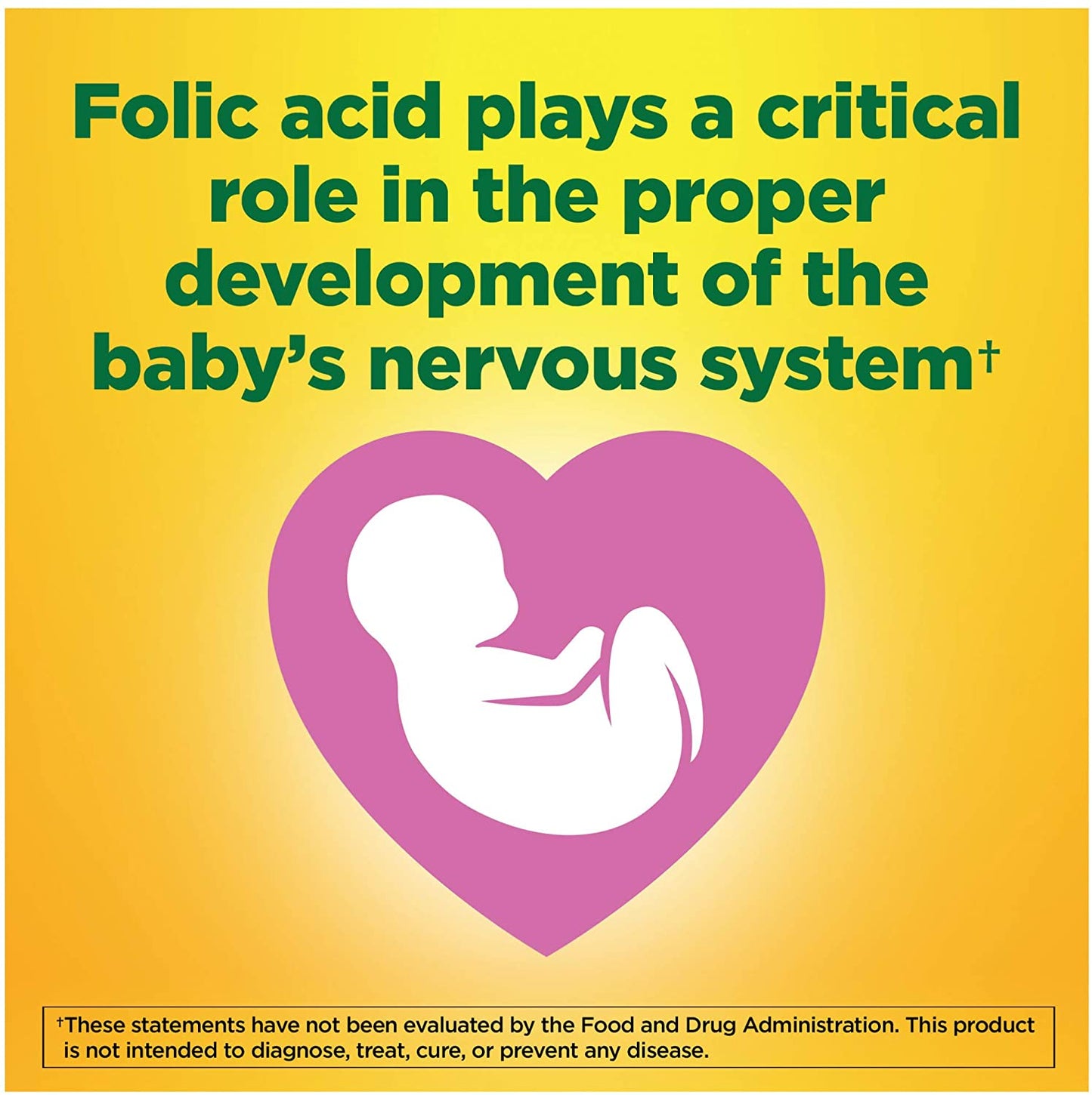 Nature Made Folic Acid 400 mcg (665 mcg DFE) Tablets, 250 Count