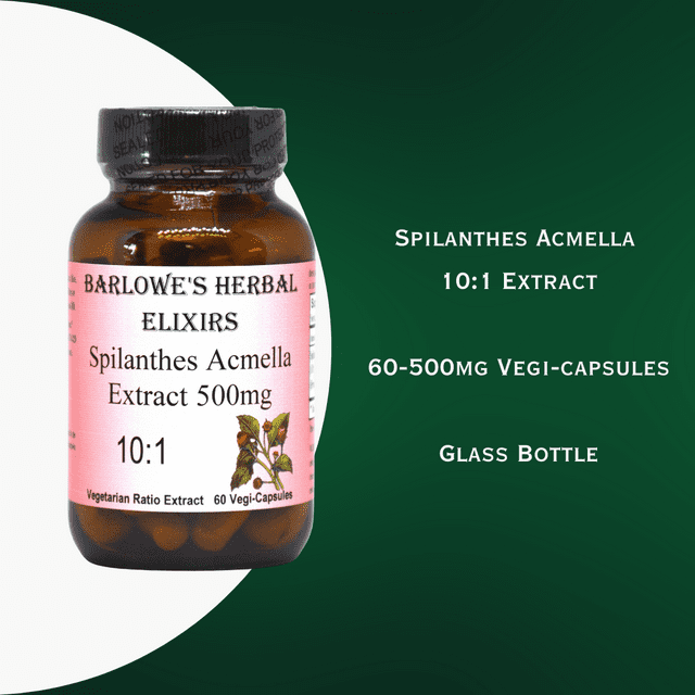 Barlowe's Herbal Elixirs  Spilanthes Acmella 10:1 Extract 500mg  60 Veggie Capsules