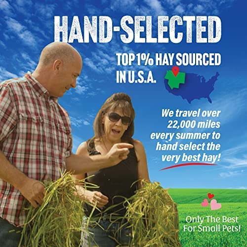 Small Pet Select 2nd Cutting Timothy Hay Pet Food, 10-Pound