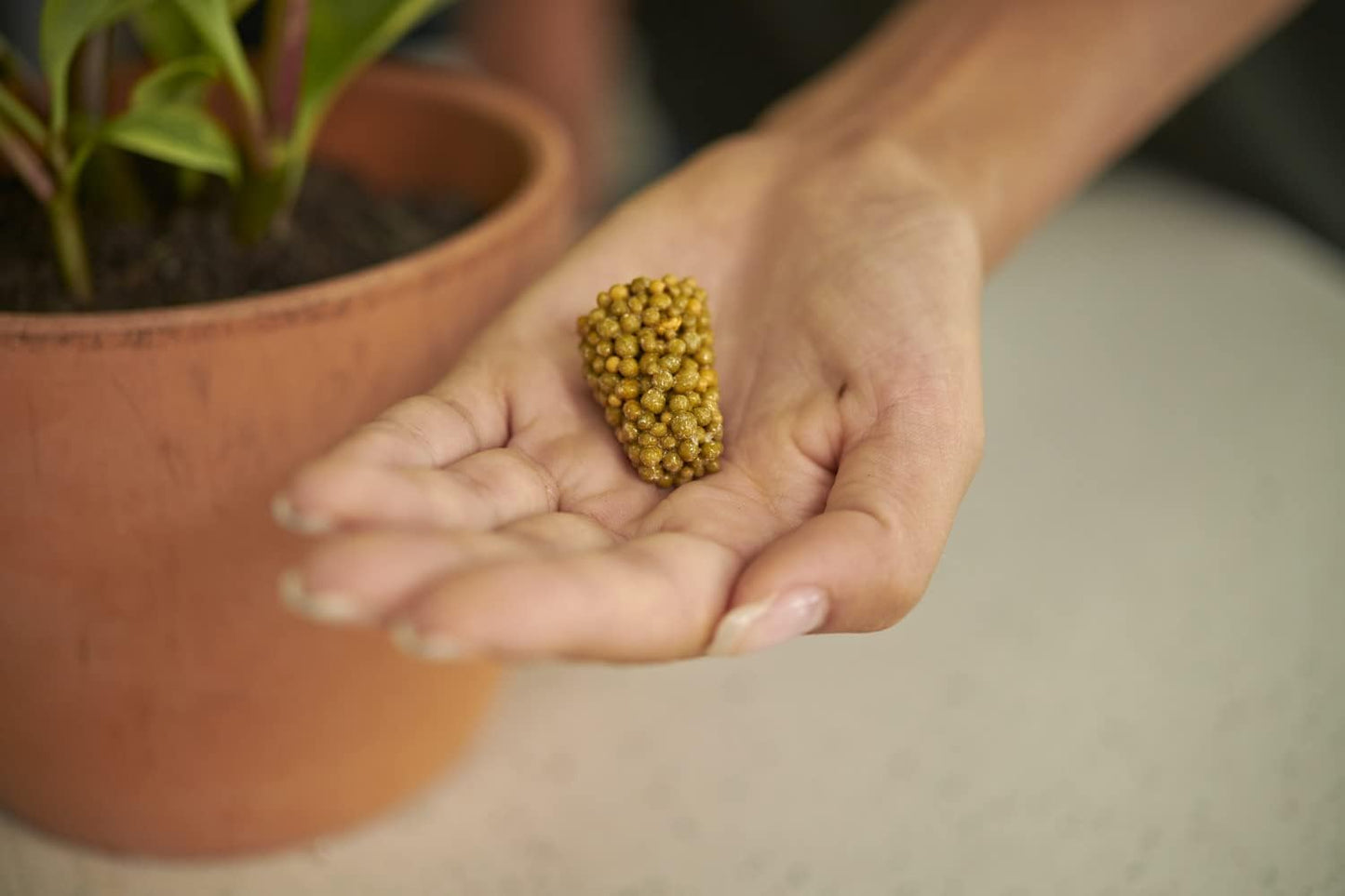 Osmocote PotShots: Premeasured House Plant Food t- 25 Nuggets