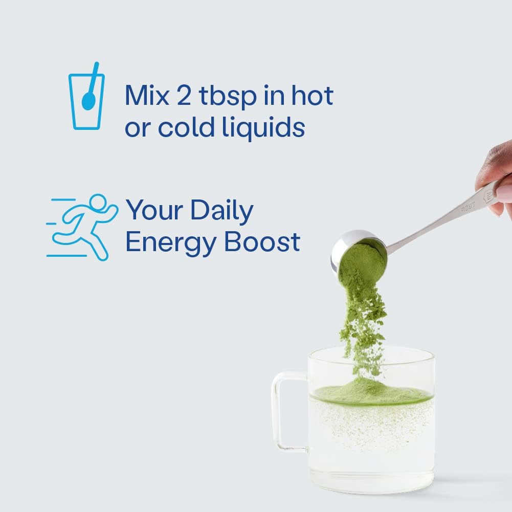 Vital Proteins Matcha Collagen Peptides Powder Supplement - 10.5 oz