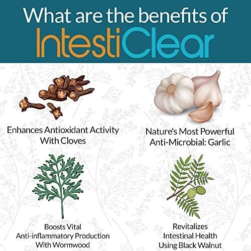 IntestiClear - Advanced Intestinal Cleanse Support for Humans -2fl oz