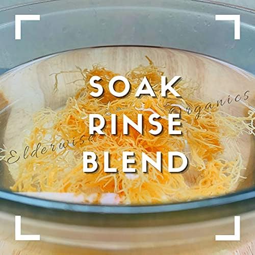 Sea Moss  WILDCRAFTED  2.5 oz Sundried  MINERAL RICH  Saint Lucia Sea Moss GOLDEN