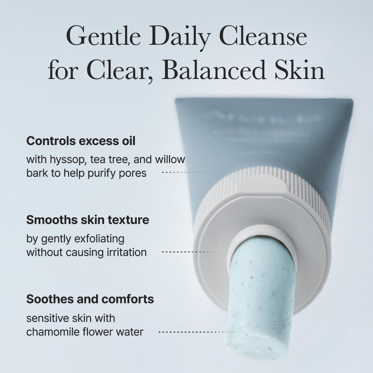 ARENCIA Hyssop Sebum Control Rice Cake Cleanser - 5.07 fl oz