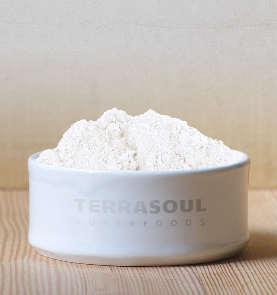 Terrasoul Superfoods Organic Coconut Milk Powder