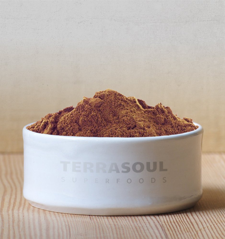 Terrasoul Superfoods Raw Organic Cacao Powder