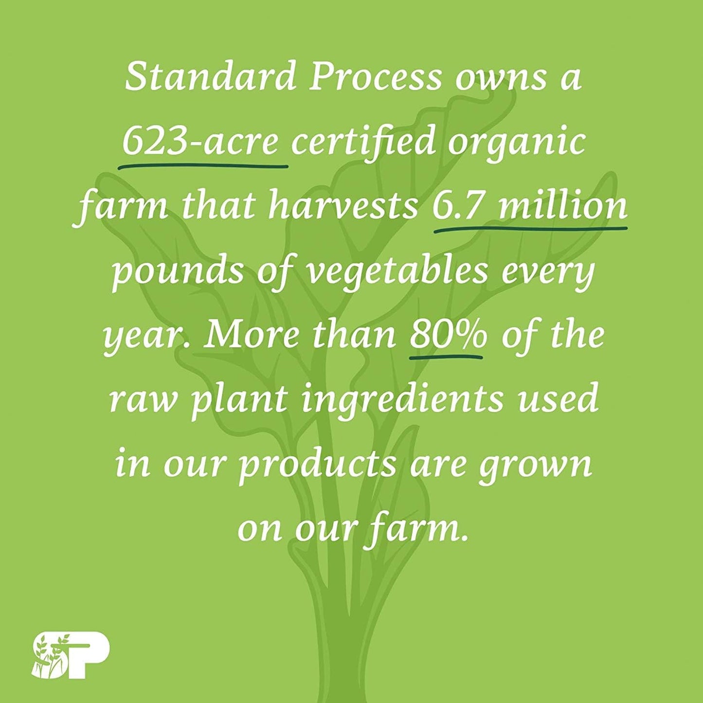 Standard Process Calcium Lactate- Immune Support and Bone Strength - 180 Tablets