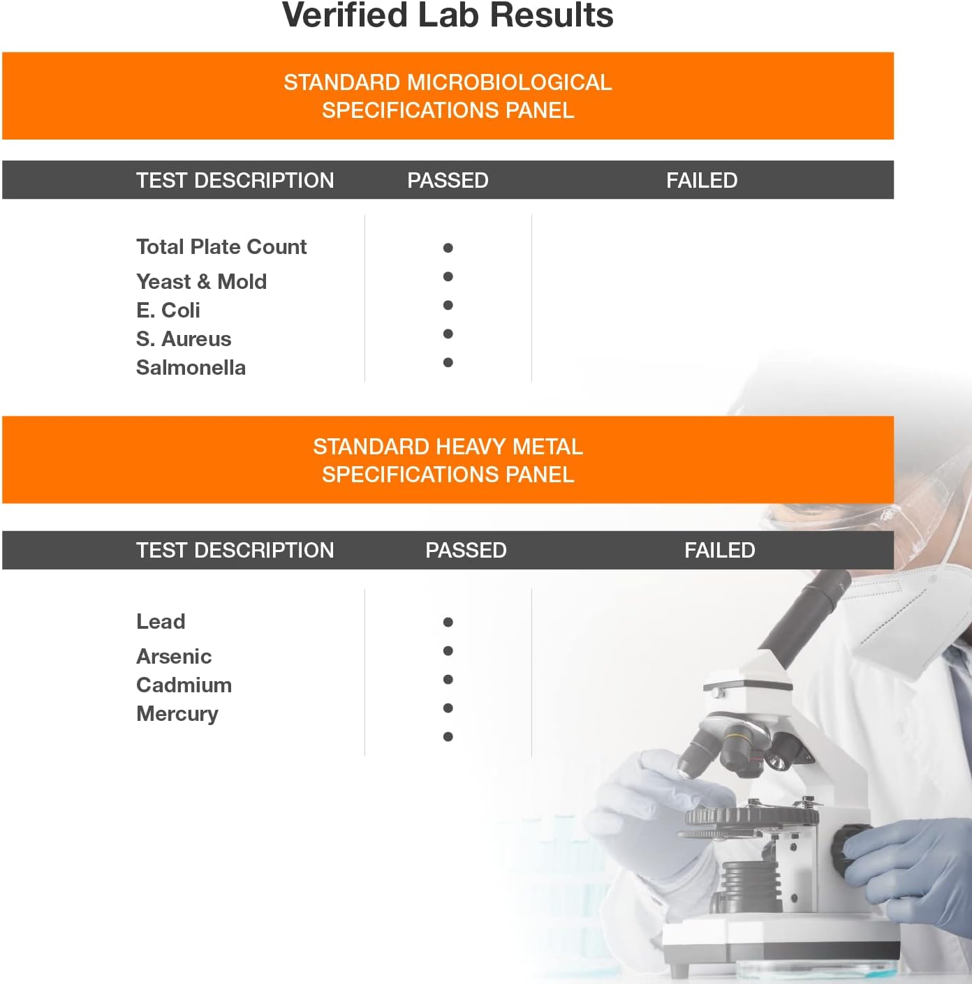 Benevolent Nourishment Quercetin with Bromelain, Zinc Complex - 120 capsules