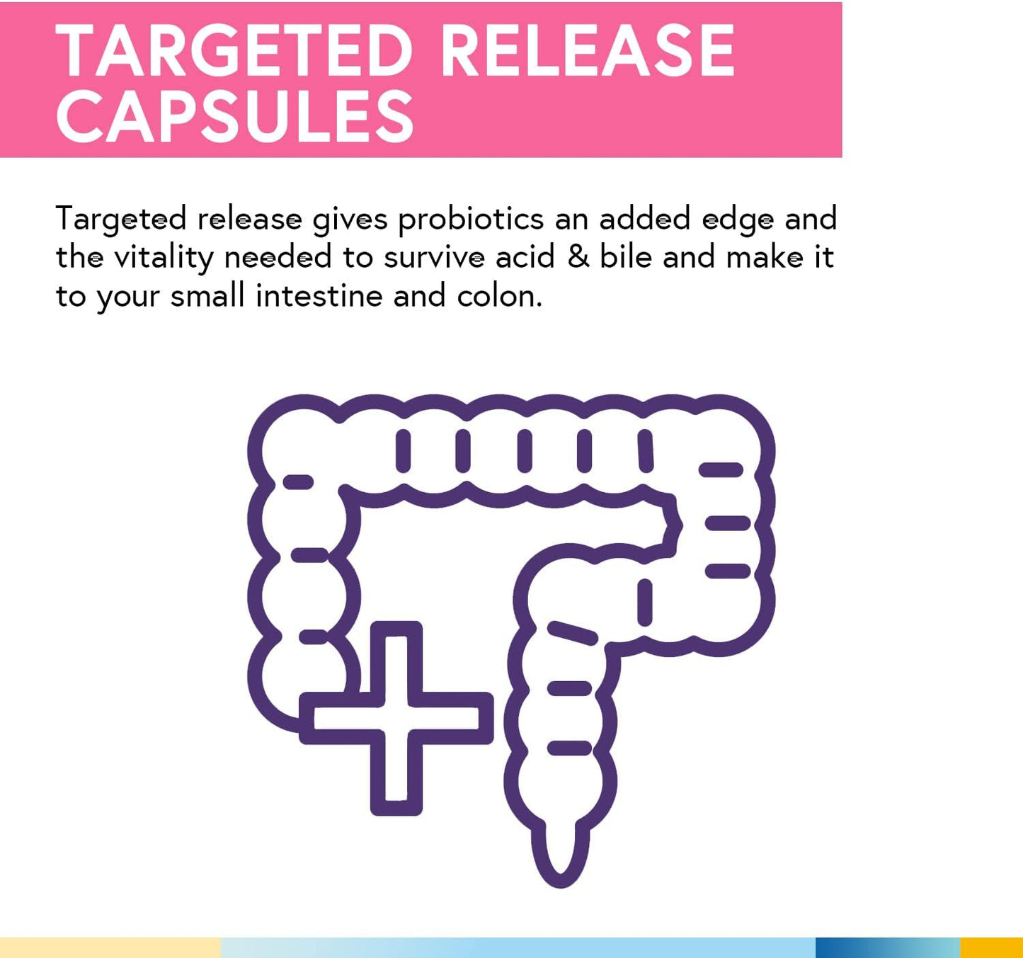 Terranics Daily Probiotics for Women, 200 Billion 32 Strains Womens Probiotics,60 capsules