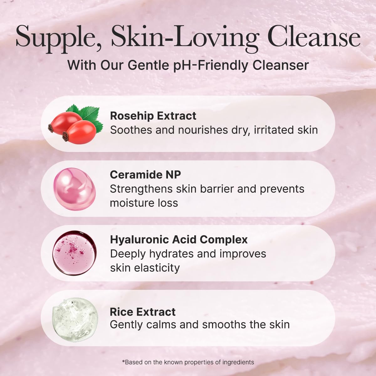 ARENCIA Rosehip Rice Cake Cleanser - 5.07 fl oz