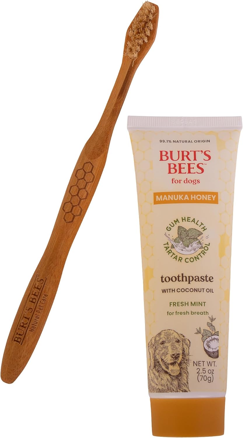 Burt's Bees for Pets Fresh Mint Dog Dental Kit with Bamboo Toothbrush & Dog Toothpaste - 2.5 Oz