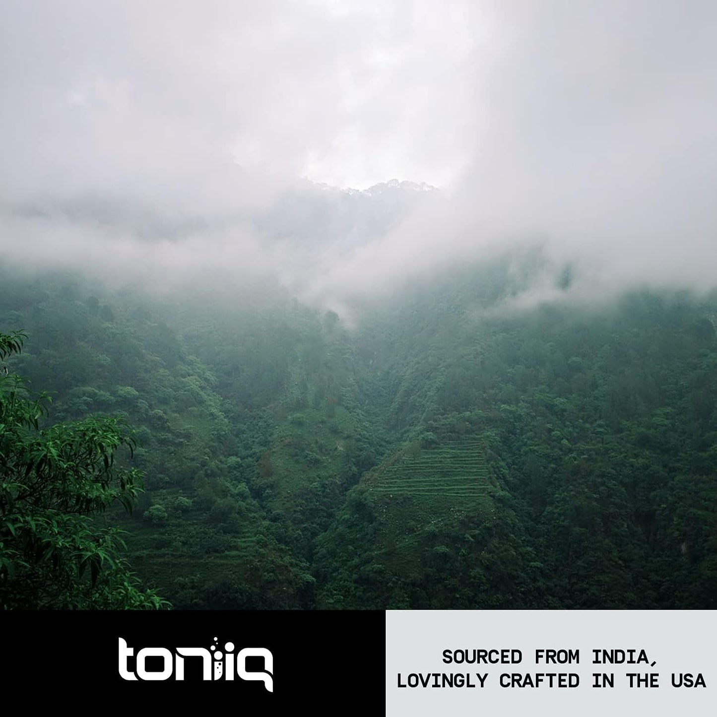 Toniiq Ultra High Strength Valerian Root -  120Capsules