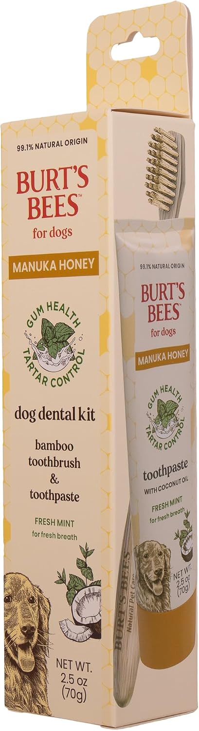 Burt's Bees for Pets Fresh Mint Dog Dental Kit with Bamboo Toothbrush & Dog Toothpaste - 2.5 Oz