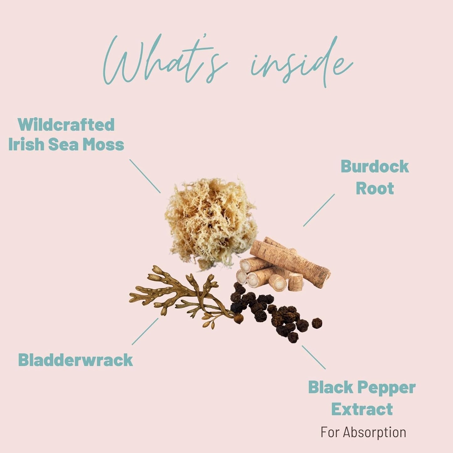 Sea Moss Capsules Complex with Wildcrafted Irish Sea Moss,180 Capsules