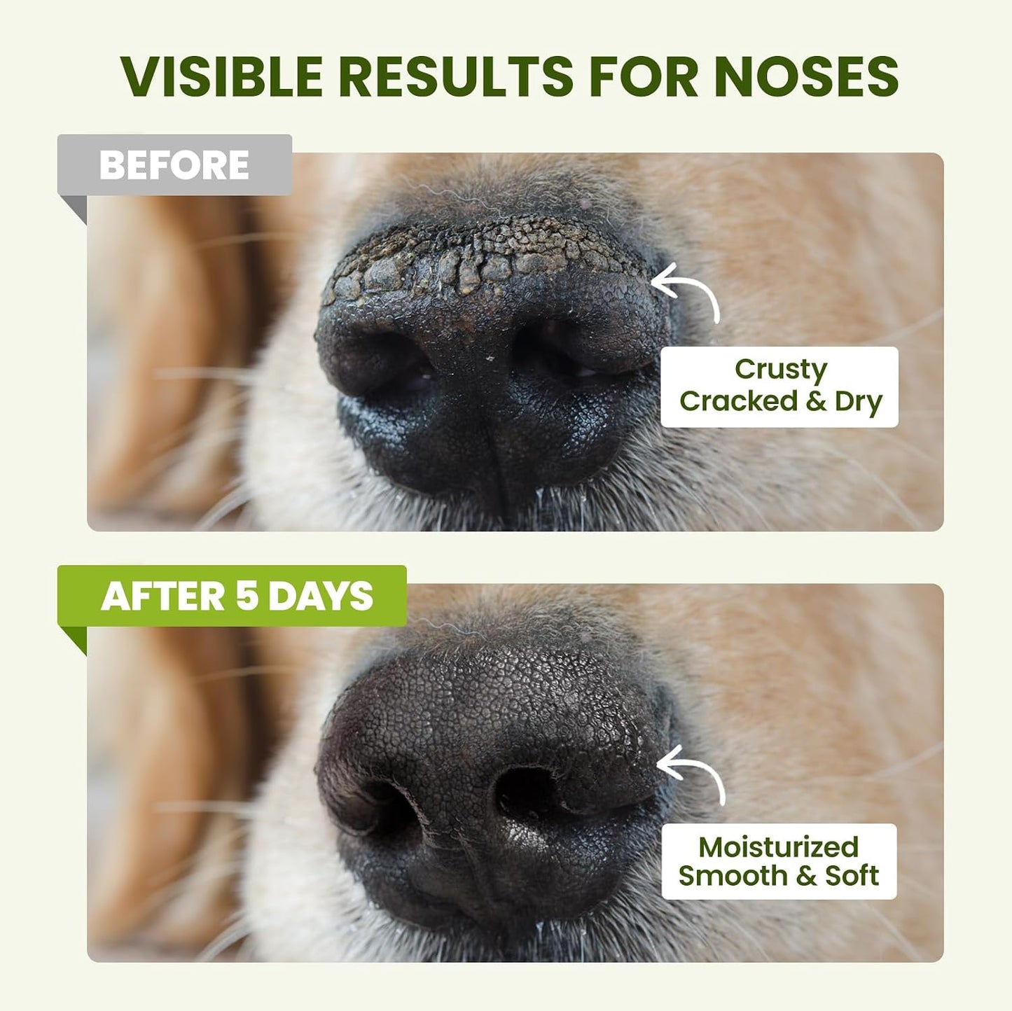 Lick-Safe Dog Paw & Nose Balm with Coconut Oil - 1.3 oz